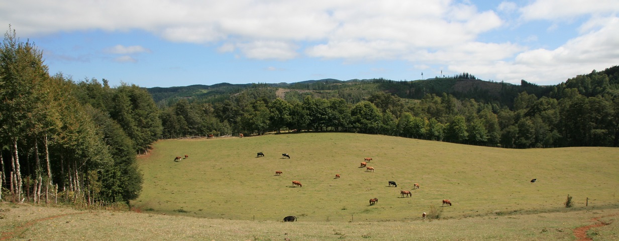 Panorámica de la Pampa del Roble