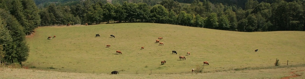 Panoramica de la Pampa del Roble