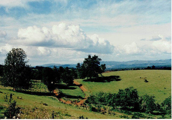 Pampa del Sombrero en 1989